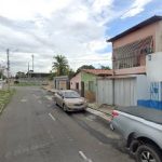 Imagem ilustrativa da empresa Desinsect Controle de Pragas em Teresina - PI