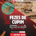Imagem ilustrativa da empresa Detek Dedetizadora - Dedetização e Controle de Pragas em Nova Iguaçu - RJ