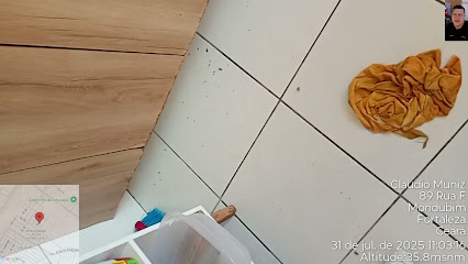 Dragon Pest Control - Dedetização em Fortaleza - CE