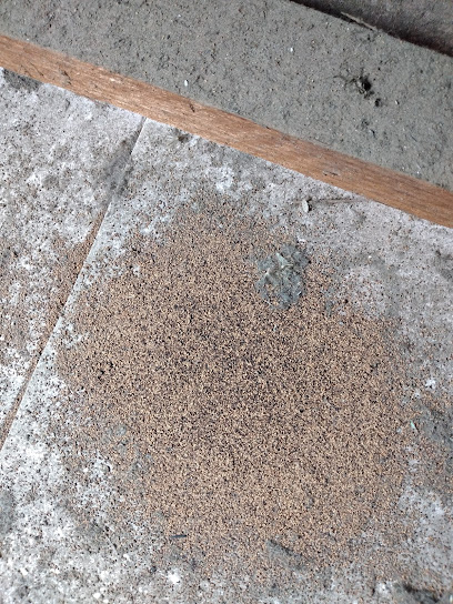 E. D. AMBIENTAL CONTROLE DE PRAGAS URBANAS em Guarulhos - SP