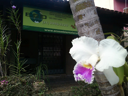 Eco BH Dedetização em Belo Horizonte - MG