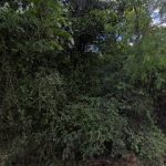 Imagem ilustrativa da empresa Eco Entulho - Caçambas em Porto Alegre - RS