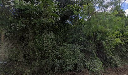 Imagem ilustrativa da empresa Eco Entulho - Caçambas em Porto Alegre - RS
