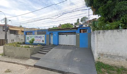 Ecoprag Controle de Pragas em Olinda - PE