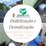 Imagem ilustrativa da empresa EFRATA Soluções em Sanitização e dedetização em São Paulo - SP