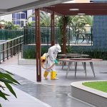 Imagem ilustrativa da empresa EQUILÍBRIO AMBIENTAL SANITIZAÇÃO E CONTROLE DE PRAGAS em João Pessoa - PB