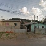 Imagem ilustrativa da empresa Equilibrio Dedetizadora em São José dos Pinhais - PR