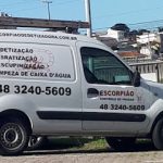 Imagem ilustrativa da empresa Escorpião Dedetizadora em São José - SC