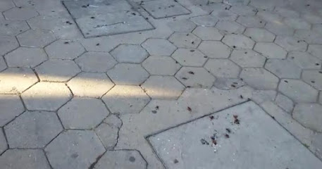 Extinseto Prestadora de Serviços em Florianópolis - SC