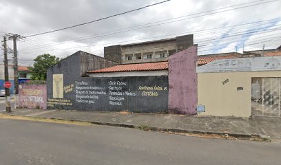 Flecha - Controle de Pragas em Fortaleza - CE