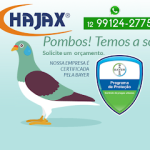 Imagem ilustrativa da empresa Hajax Dedetizadora em Taubaté - SP