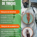 Imagem ilustrativa da empresa Imuneplace Controle de Pragas e Conservação em Rio de Janeiro - RJ