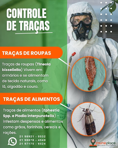 Imuneplace Controle de Pragas e Conservação em Rio de Janeiro - RJ