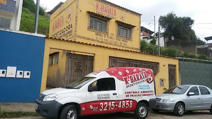K- BARATA - Dedetização em Juiz de Fora - MG