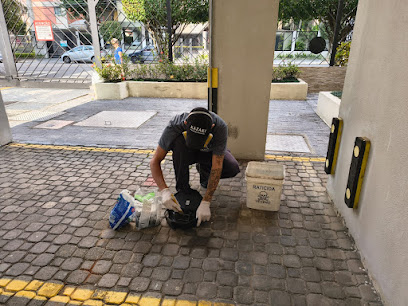 KAZAKI DEDETIZADORA E DESENTUPIDORA em São Paulo - SP