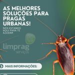 Imagem ilustrativa da empresa LIMPRAG SERVIÇOS - Dedetização em João Pessoa - PB
