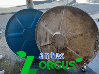 Lorgus - Dedetização em Guarulhos - SP