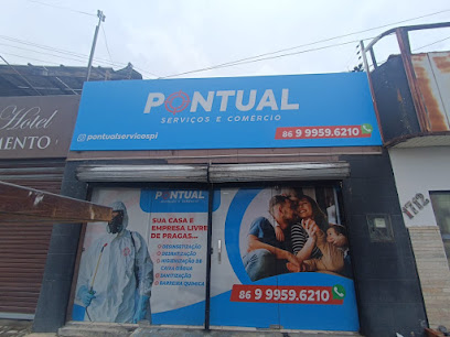 Pontual Dedetização, Sanitização e Limpeza de Caixa D'água em Teresina - PI