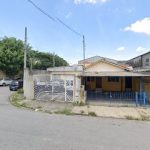 Imagem ilustrativa da empresa Potencial Controle de Vetores e pragas Urbanas em Guarulhos - SP