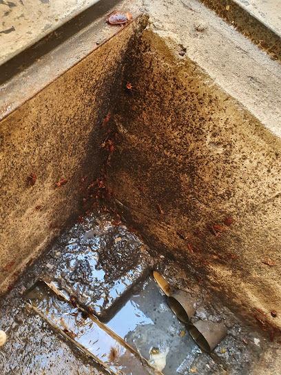 Princípio Dedetizações e Desentupimento. em Belo Horizonte - MG