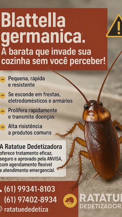 Ratatue Dedetizadora em Brasília - DF