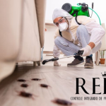Imagem ilustrativa da empresa Rei Dedetizadora em São José dos Pinhais - PR