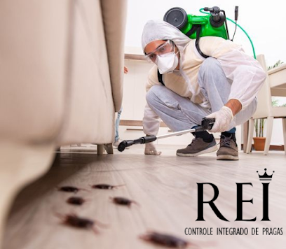 Rei Dedetizadora em São José dos Pinhais - PR