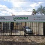 Imagem ilustrativa da empresa RICOPRAG Controle de Pragas em Campinas - SP