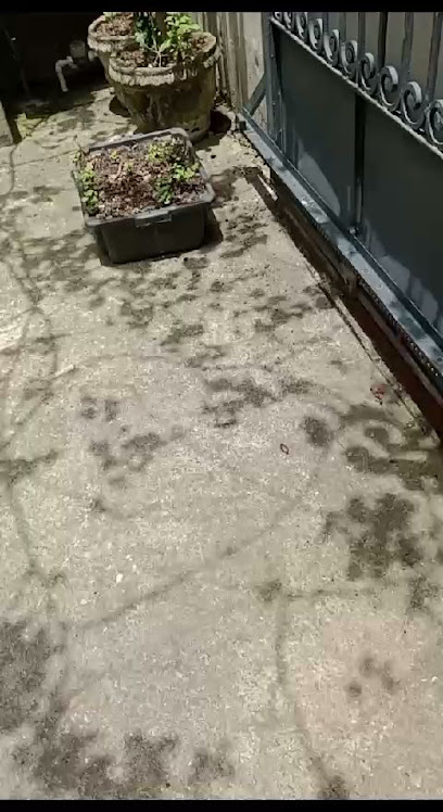 Saneprag Sanitizadora - Dedetizadora, Desentupidora e Limpadora em Taubaté - SP