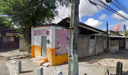 Sanidade Controle de Pragas em Recife - PE