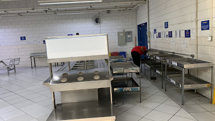 Tec Ras dedetizadora em São Paulo - SP