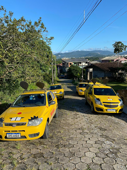 TRULY NOLEN CONTROLE DE PRAGAS E SANITIZAÇÃO em São José - SC