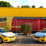 Imagem ilustrativa da empresa Truly Nolen Controle de Pragas Urbanas | Dedetizadora em Manaus - AM