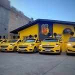 Imagem ilustrativa da empresa Truly Nolen - Dedetização em Curitiba - PR