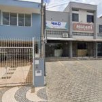 Imagem ilustrativa da empresa Ventura's Dedetização em Campinas - SP